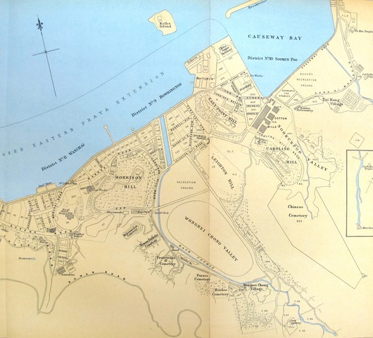 Picture This | M3618 Plan of the City of Victoria, Hong Kong