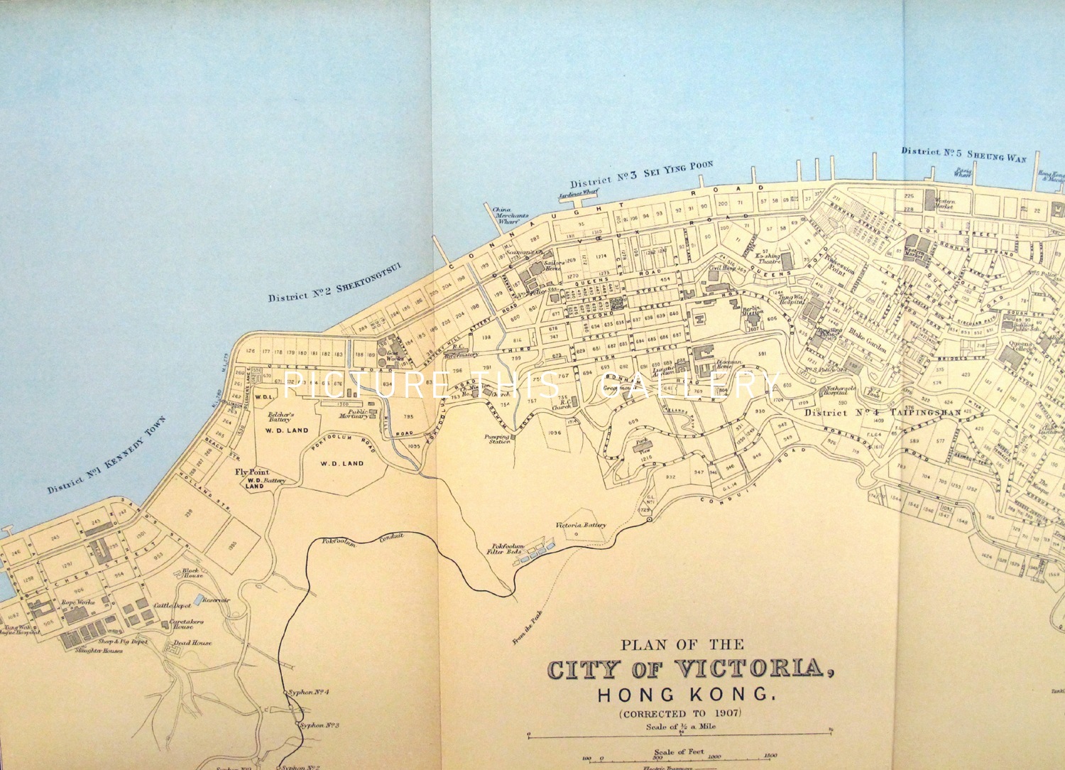 Picture This | M3618 Plan of the City of Victoria, Hong Kong