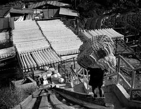 Dye Works in Ngau Chi Wan