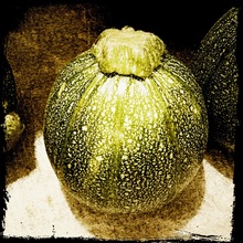 Melon