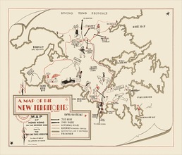 A Map of the New Territories by Friedrich Schiff (Reproduction)