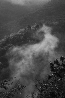 Creeping Cloud