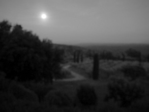 Moonlight in Provence